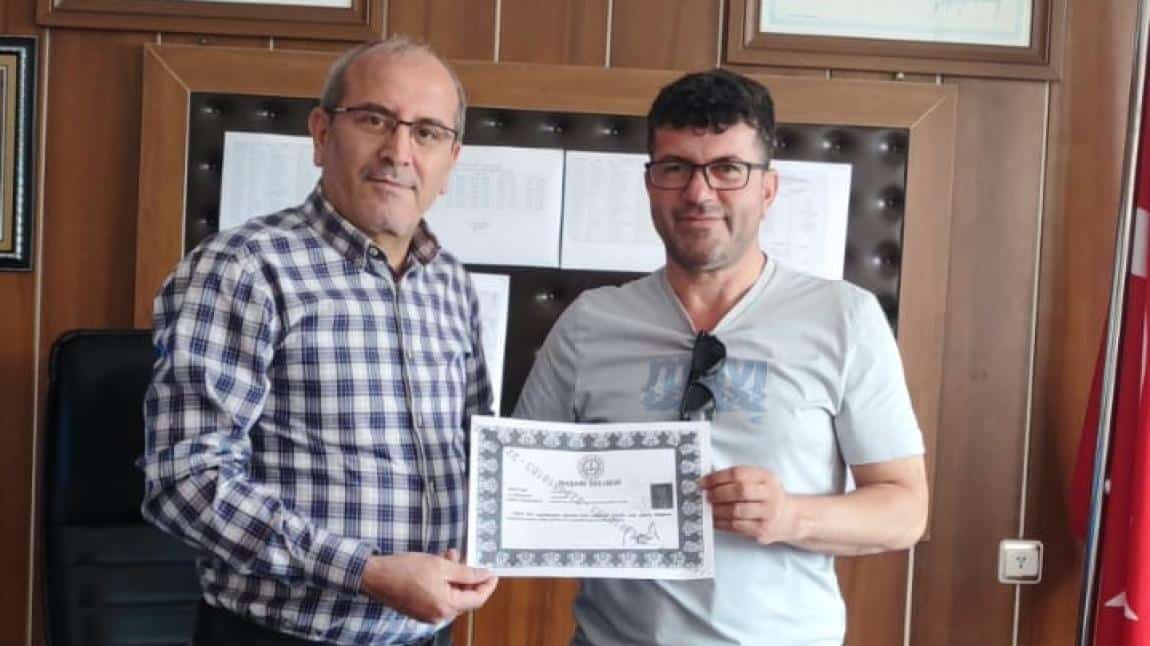Timss Çalışmaları